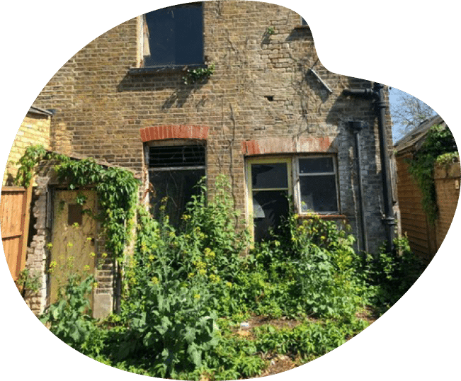 Old brick house with overgrown plants and vines on the exterior.