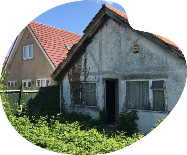 Old, overgrown house with peeling paint beside a newer, well-maintained house.